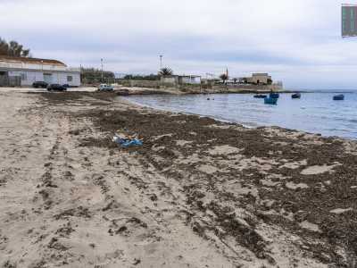 A salutarci � l�immancabile e pungente odore delle alghe, il cui colore verde scuro si mischia al tono dorato della sabbia